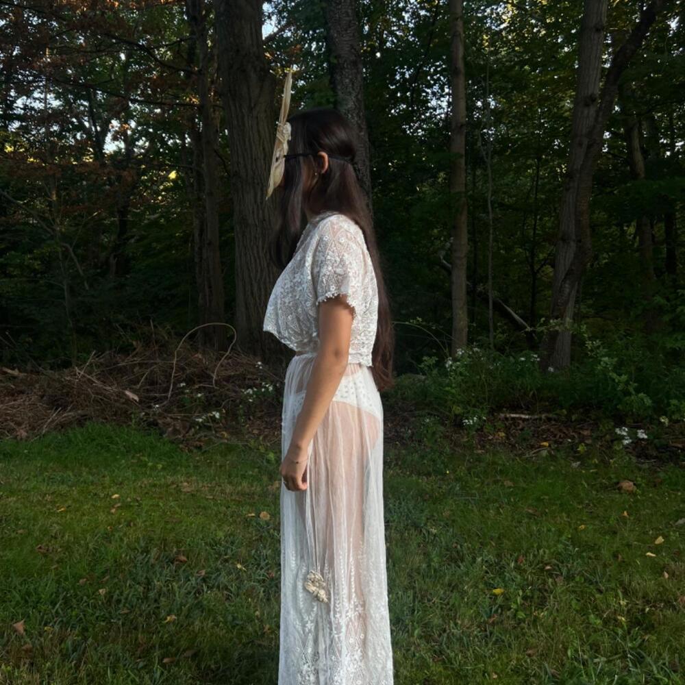 Antique Sheer Embroidered Net Lace Ensemble - image 6